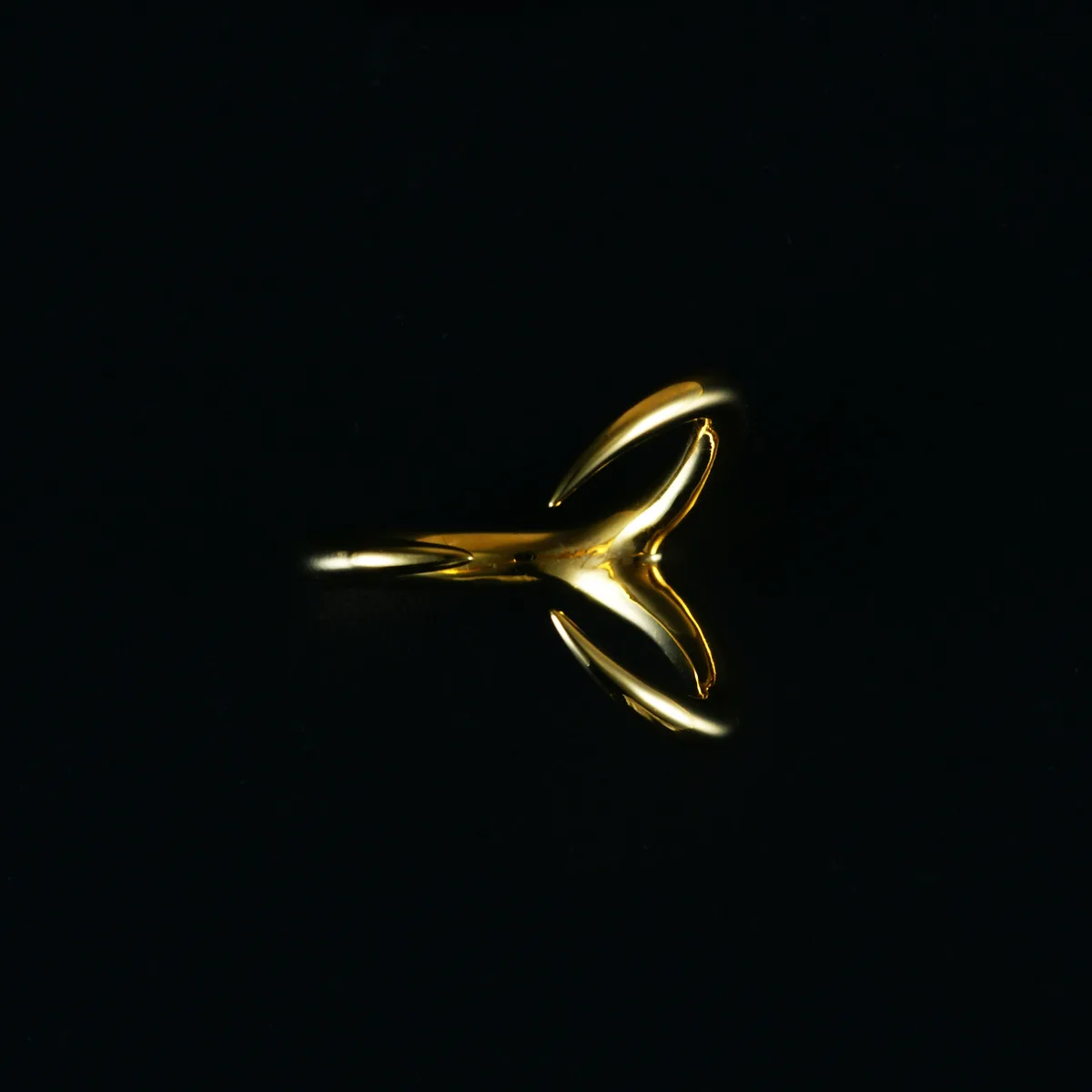 Horn Ring（ホーン リング） 写真1