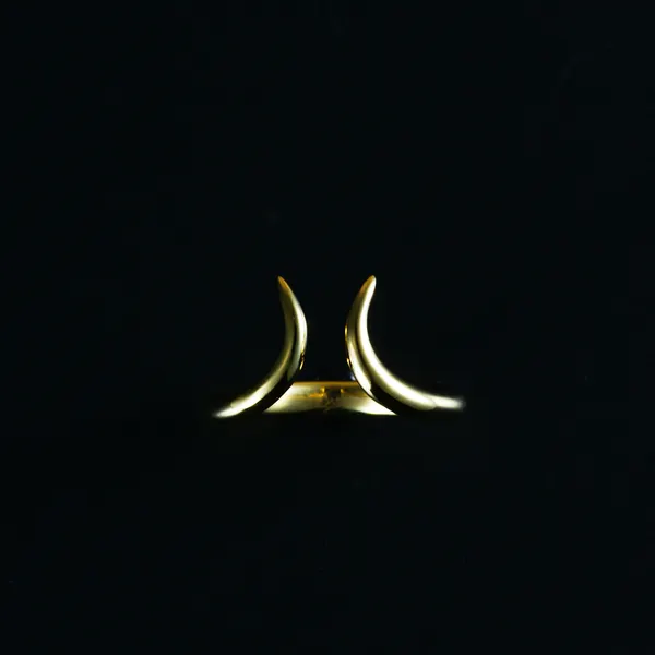 Twin Horn Ring(ツインホーン リング)