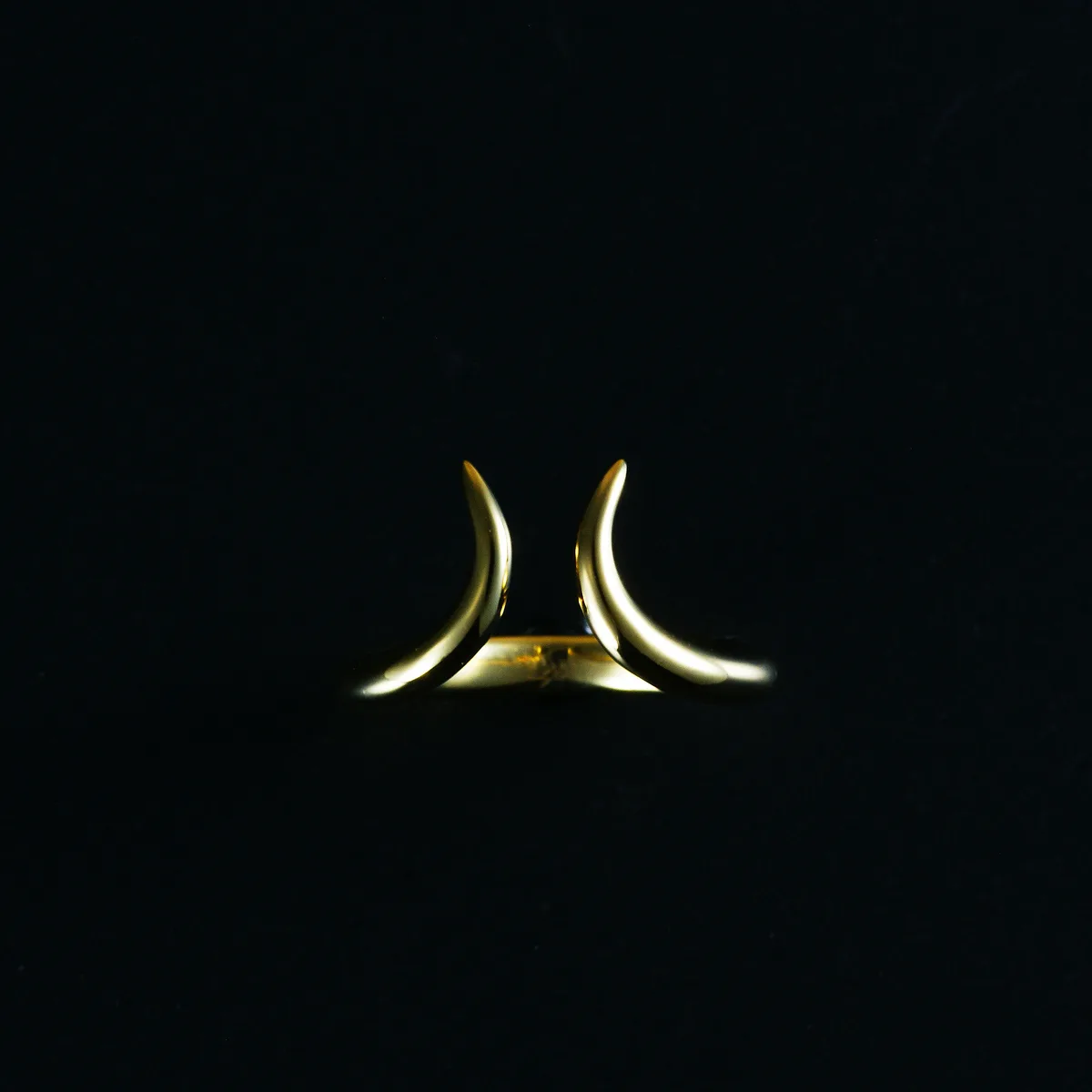 Twin Horn Ring（ツインホーン リング） 写真1