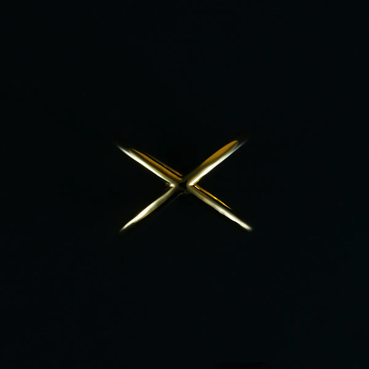 X Ring（エックス リング） 写真1