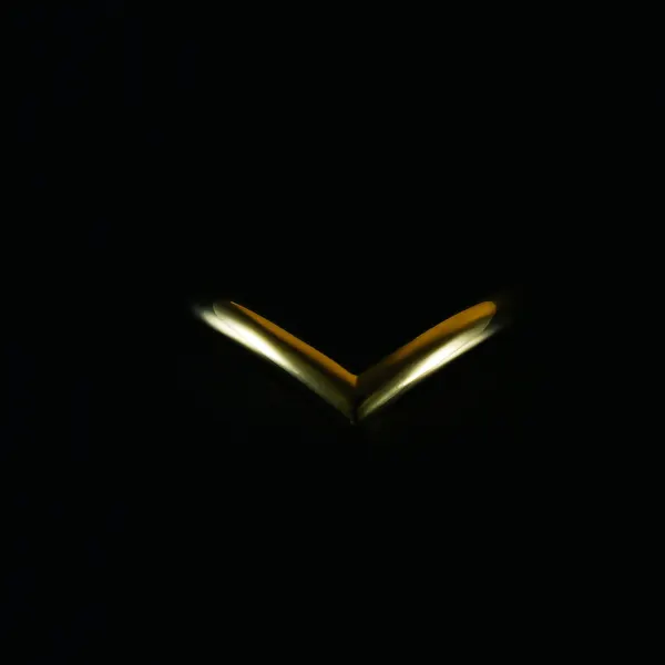 V Ring(ブイ リング)