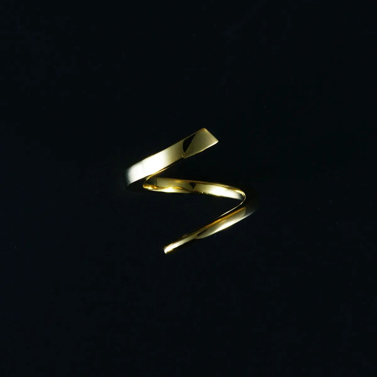 Spiral Ring（スパイラル リング） 写真1