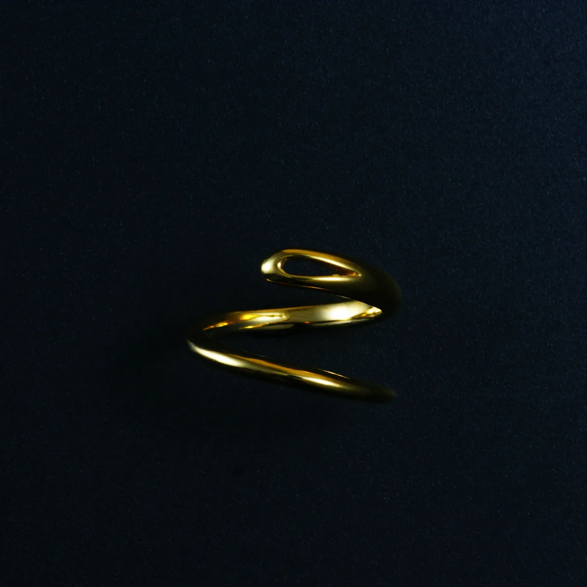 Needle Ring(ニードル リング) 写真1